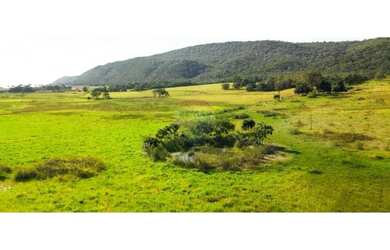 Imagem 16: Fazenda a venda com 86 hectares em Unaí, Minas Gerais