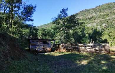 Imagem 12: Sítio / Chácara para Venda em Nova Petrópolis, Fazenda Pirajá, 2 dormitórios,...