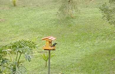 Imagem 4: Sítio com 10 dormitórios à venda, 48400 m² por R$ 2.000.000,00 - Jardim...