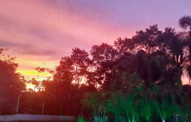 Imagem 15: Chácara a venda - 1200m Suzano