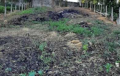 Imagem: O terreno possui 525m² de Área e está localizado em Filgueiras