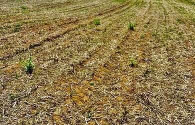 Imagem 3: A venda lote de 500m2 em Atibaia com ótima localização