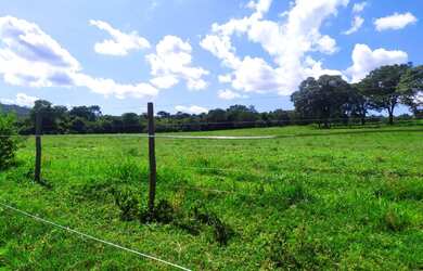 Imagem 5: Linda Fazenda entre vianópolis e silvânia