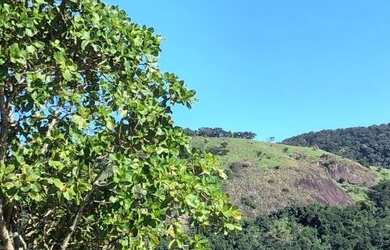 Imagem 5: Vendo ou troco. 2.400m² de Área, 5 Vagas na garageme1 Dormitório