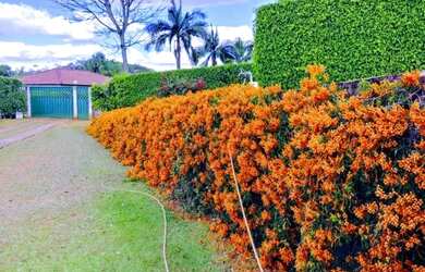 Imagem 16: Casa Park Way Quadra 5. Churrasqueira, Ar-condicionado, 785m² de Áreae5...