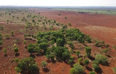 Imagem 6: Vendo 288, hectares de terras próprias para plantio de cana em Paracatu...