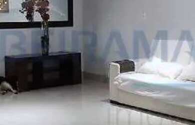 Imagem 10: Casa para venda com 2 quartos, lote com 400m² na Rua 3 - Vicente Pires