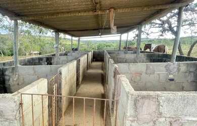 Imagem 10: Fazenda no norte de Minas Gerais