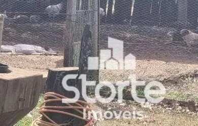 Imagem 16: Fazenda à venda com 135 hectares 28 alqueires por R$ 4.480.000 - 31km...