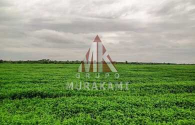 Imagem: A fazenda possui 6.170m² de Área, Imóvel novo e está localizado