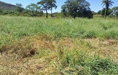 Imagem 2: Fazenda de 114,7 hectares toda plana, toda cercada no arame liso com Rio...