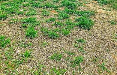 Imagem 1: Terreno à venda em Indaiatuba, Jardim Casablanca, com 160 m²