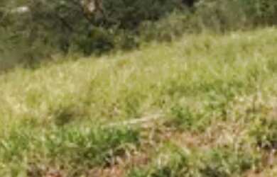 Imagem 6: Terreno aceito carro. 360m² de Área