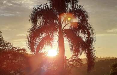 Imagem 10: Chácara a venda - 1200m Suzano