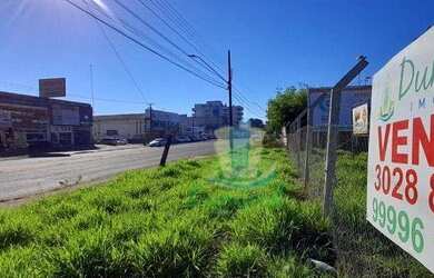 Imagem 2: Área à venda com 5478 m² por R$ 5.500.000 no Jardim Panorama em Foz...