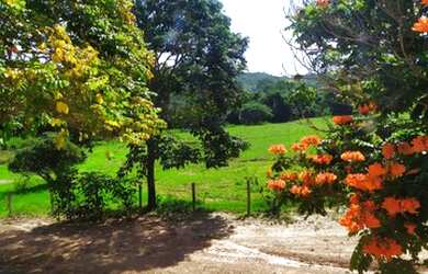 Imagem 8: Linda Fazenda entre vianópolis e silvânia