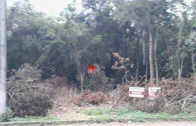 Imagem 14: Terreno à venda, 375 m² por R$ 149.000 - Campina - São Leopoldo/RS