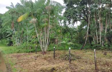 Imagem: A casa possui 3 Dormitórios, 1 Banheiro, 3 Vagas na garagem