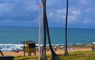 Imagem 1: Venha pra temporada +Barata da Orla em Salvador