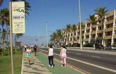 Imagem 5: Venha pra temporada +Barata da Orla em Salvador