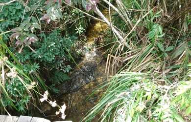 Imagem: O terreno está localizado em Jaboticatubas, MG à venda por