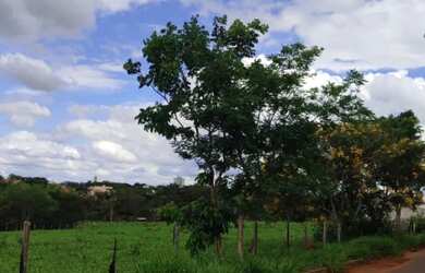 Imagem 2: Terreno em Curvelo - Ótima localização - 478m2