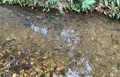 Imagem: A chácara está localizado em Jaboticatubas, MG à venda por