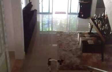 Imagem 6: Casa à venda em Barueri, Residencial das Estrelas, com 4 quartos, com 450 m²