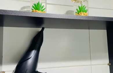 Imagem 12: Apartamento para aluguel. Piscina, Churrasqueira, Imóvel mobiliadoeAr-condicionado