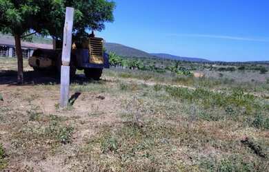 Imagem 4: FAZENDA EM BOA VISTA DO TUPIM - 6000 TAREFAS