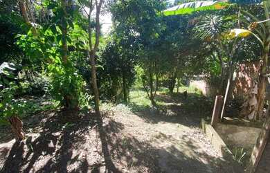 Imagem 11: Terreno à venda, 847 m² por R$ 225.000,00 - Mata Paca - Niterói/RJ