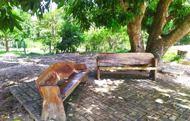 Imagem 7: Linda Fazenda entre vianópolis e silvânia