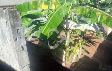 Imagem 2: Terreno à venda, 200 m² por R$ 115.000,00 - Industrial - Londrina/PR