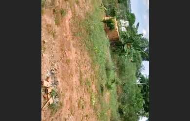 Imagem 13: Casa de condomínio para venda possui 1810 metros quadrados com 3 quartos