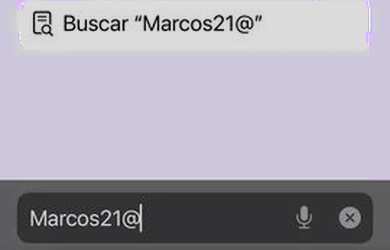 Imagem 5: Carnaval 2024 na Barra Salvador
