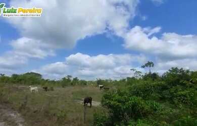 Imagem: A fazenda possui 130.680.000m² de Área e está localizado