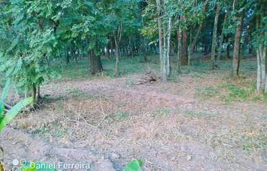 Imagem 8: Sítio ferraz. 18.300m² de Área