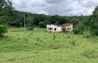 Imagem: A fazenda está localizado em Jaboticatubas, MG à venda por