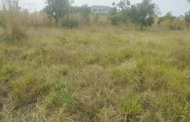 Imagem 2: Lote. 16.300m² de Área