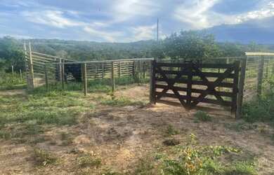 Imagem 15: Fazenda no norte de Minas Gerais