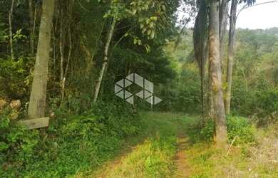 Imagem 8: Sitio em Linha Olinda. 120m² de Área