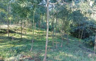 Imagem 15: Sítio / Chácara para Venda em Nova Petrópolis, Fazenda Pirajá, 2 dormitórios,...