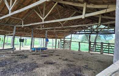 Imagem 5: Ótima fazenda de 302 hectares, dupla aptidão, terras de cultura margeada...