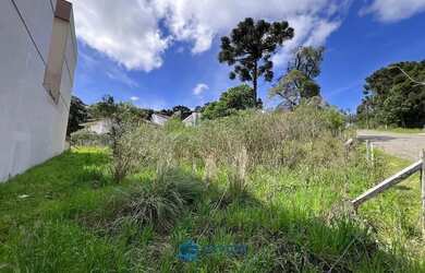 Imagem 6: No Villa Alpina terreno com 420m² Caxias do Sul