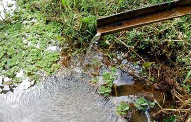 Imagem 9: Sítio com 10 dormitórios à venda, 48400 m² por R$ 2.000.000,00 - Jardim...