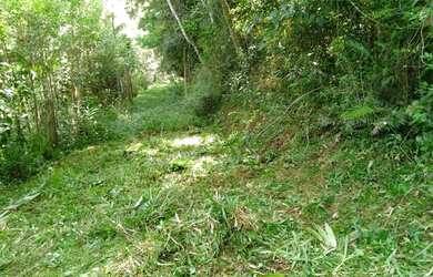 Imagem 4: Chácara. 1.000m² de Área