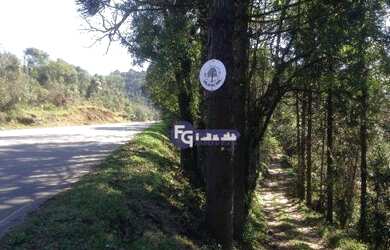 Imagem 7: Fazenda à venda, 1200000 m² por R$ 3.000.000,00 - Centro - Bocaiúva...