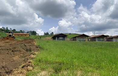 Imagem 4: Terreno de 1000 metros quadrados ótimo investimento para quem investir