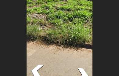 Imagem 8: 5 lotes juntos 2.309 M2 Jardim buriti sereno Aparecida de Goiânia