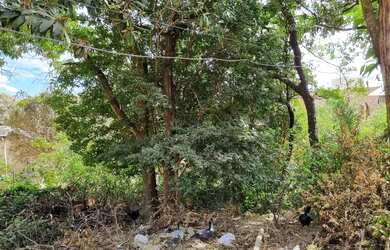 Imagem: O terreno possui 360m² de Área e está localizado em Palmital